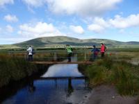 es ist auch nicht ganz ungefährlich