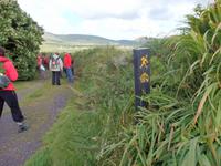 Nicht zu übersehen, die Markierungen der Wanderwege