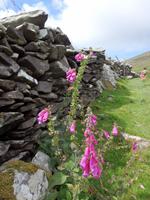 Diese Mauern schützen vor Wind und Regen