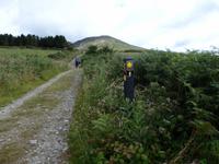 auf der Old Kenmare Road