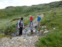 auf der Old Kenmare Road