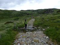 auf der Old Kenmare Road