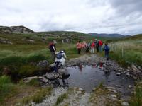 auf der Old Kenmare Road