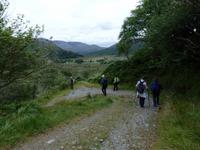 im Killarney Nationalpark