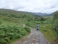 im Killarney Nationalpark