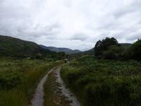 im Killarney Nationalpark