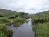 im Killarney Nationalpark