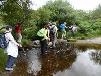 im Killarney Nationalpark