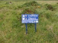 im Killarney Nationalpark