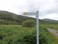 im Killarney Nationalpark