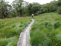 im morastigen Gebiet ist der Pfad mit Bohlen ausgelegt