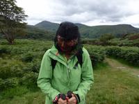 Iris schützt sich vor den kleinen Mücken