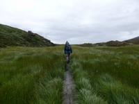 weiter gehts durch morastiges Gebiet