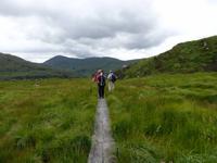 weiter gehts durch morastiges Gebiet