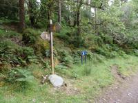 im Killarney Nationalpark