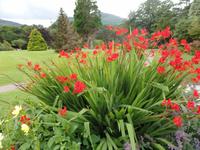 im Park vom Muckross House