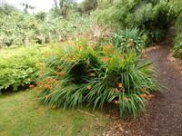 auf der Garinish Insel