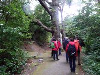 auf der Garinish Insel