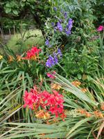 auf der Garinish Insel