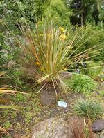 auf der Garinish Insel