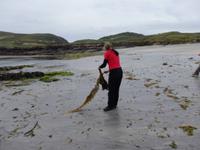 Tang kann so interessant sein