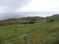 Wanderung auf Sheeps Head