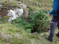 ehemaliger Stollen einer Kupfermine auf Sheeps Head
