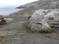 Wanderung auf Sheeps Head