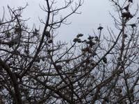 Wanderung auf Sheeps Head