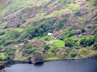 Blick vom Healy Pass Beara