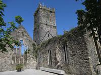 Greyfriars Priory Waterford