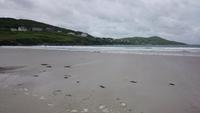 Portnoo Beach