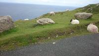 Am Wild Atlantik Way 12