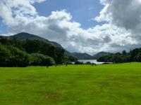 Muckross Park