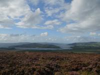  überall blüht die Heide