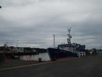 Hafen von Killybegs