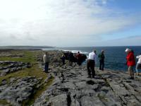  Küste im Burrengebiet