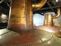 Tag 2 Jameson Destillery 2