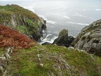 Tag 3 Sheeps Head 3 Küste