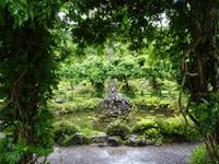 Tag 5 Bantry House Park