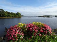 Tag 5 Glengarriff Blick von Eccles Hotel