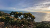 13 - Wanderung bei Howth