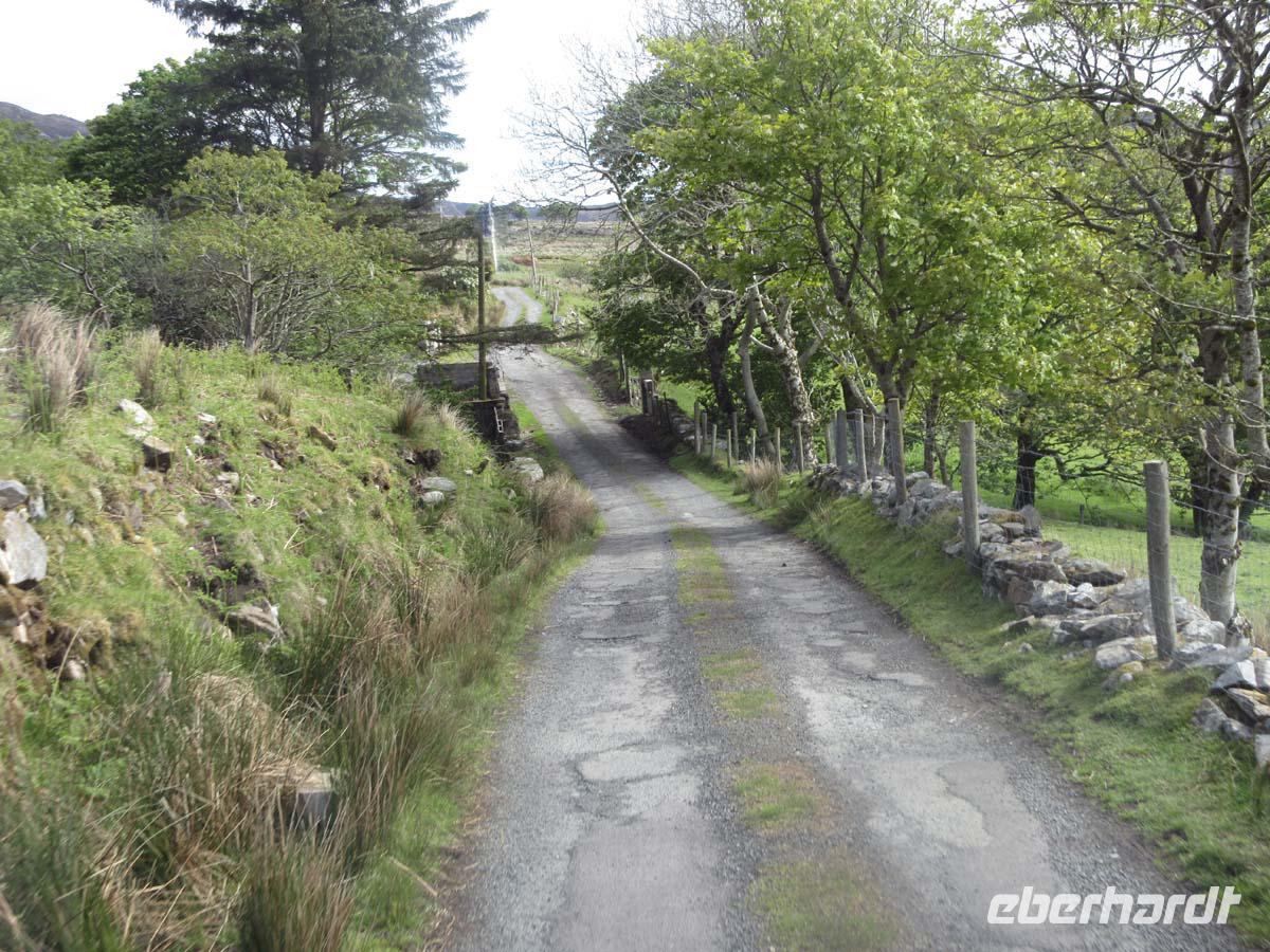 Strasse bei Fort Dunree