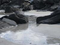 Pril am Portnoo Beach