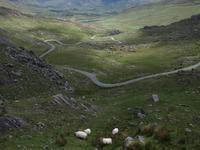 Blick vom Healy Pass