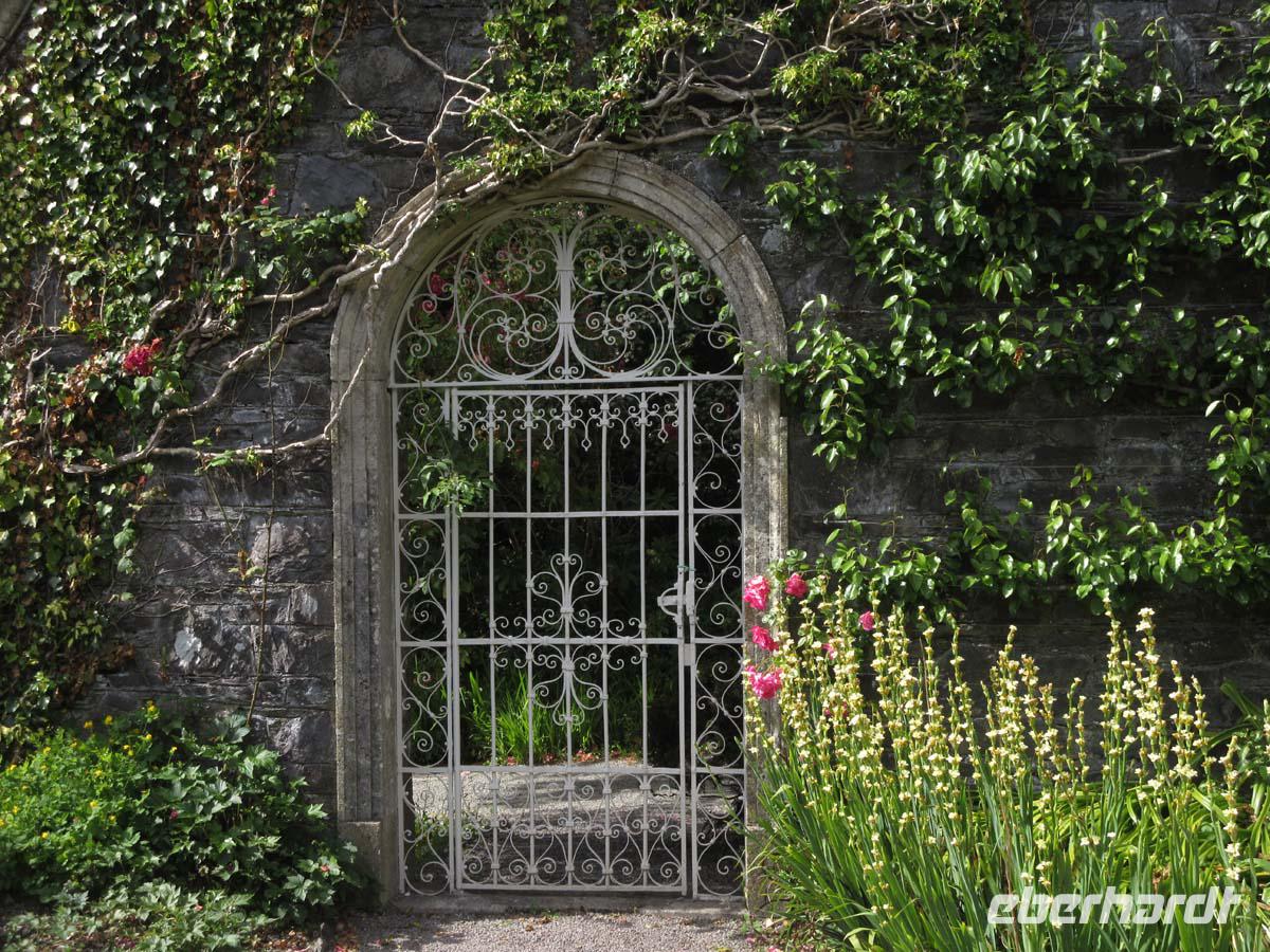Im walled garden auf Garinish Island