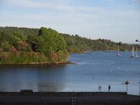 Blick zum Bamboo garden in Glengarriff
