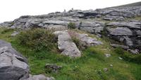 Burren, Irland