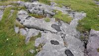 Burren, Irland