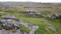 Burren, Irland